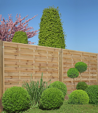 Travaux de plantations
