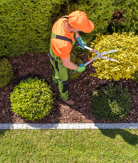 Travaux d’entretien sur végétaux